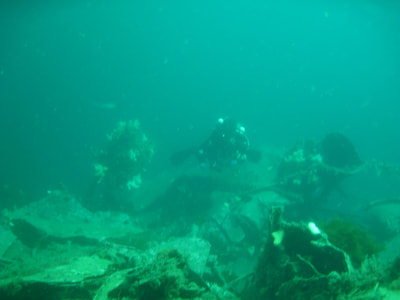Eyemouth divers